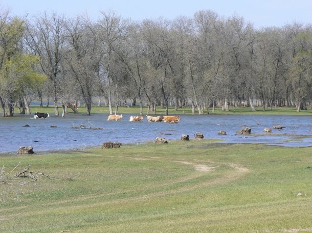 ������ �� ������ �����. ���������� ���� �� ������.