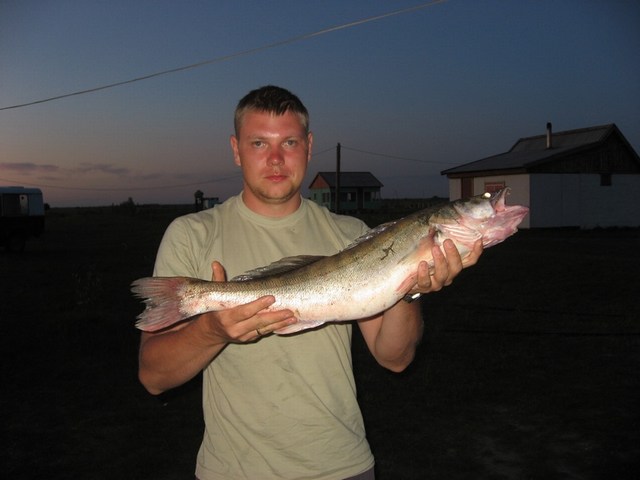 рыбалка в астрахани на нижней волге и ахтубе, рыболовная база "Ахтуба-клуб"