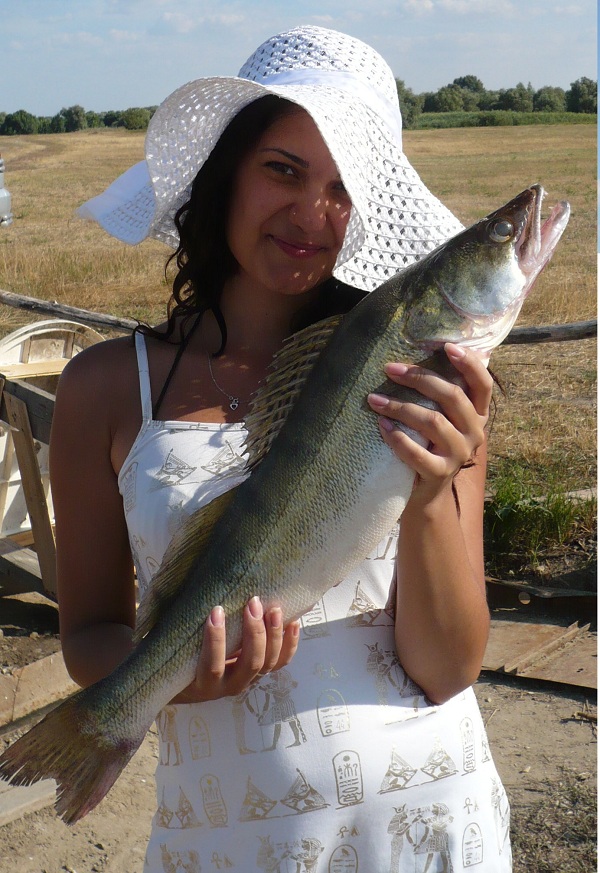 Рыбачка Юля из Челябинска и зачётный судак, пойман 22 августа 2011 года.