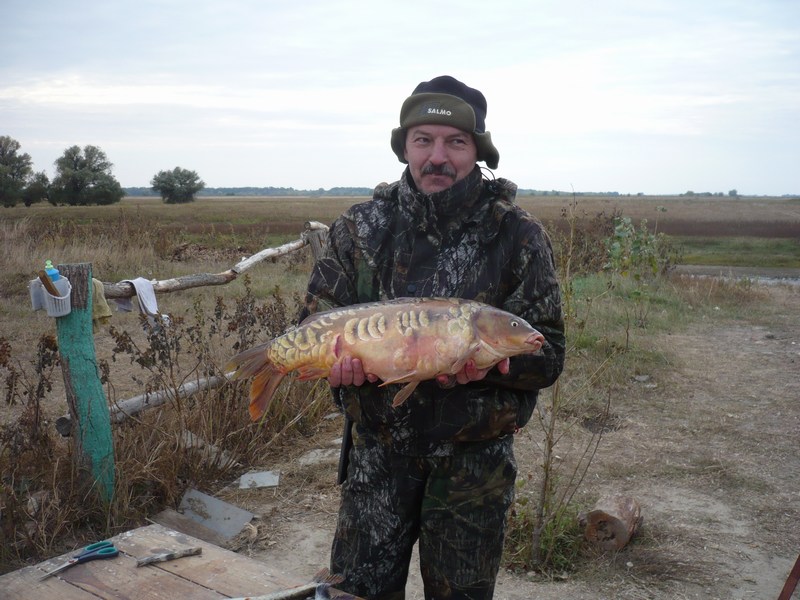 Юра Сибиряк, карп зеркальный пойман 11 октября 2010 г.