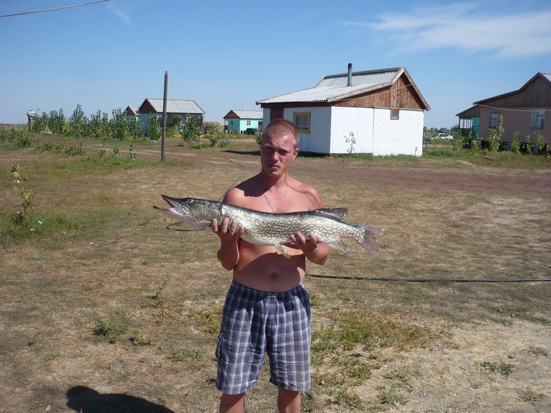 Август, ахтуба рыбалка на Митинке, Харабалыке и Банном база "Ахтуба-клуб"
