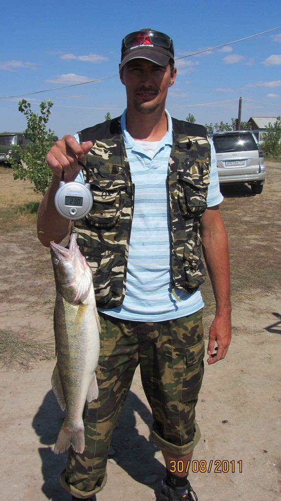 Август, Ахтуба рыбалка в Селитренном, Митинка, Харабалык и Банный, рыболовная база "Ахтуба-клуб"