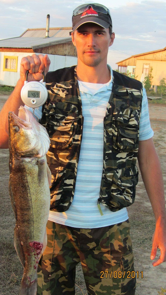 Август, Ахтуба рыбалка в Селитренном, Митинка, Харабалык и Банный, рыболовная база "Ахтуба-клуб"