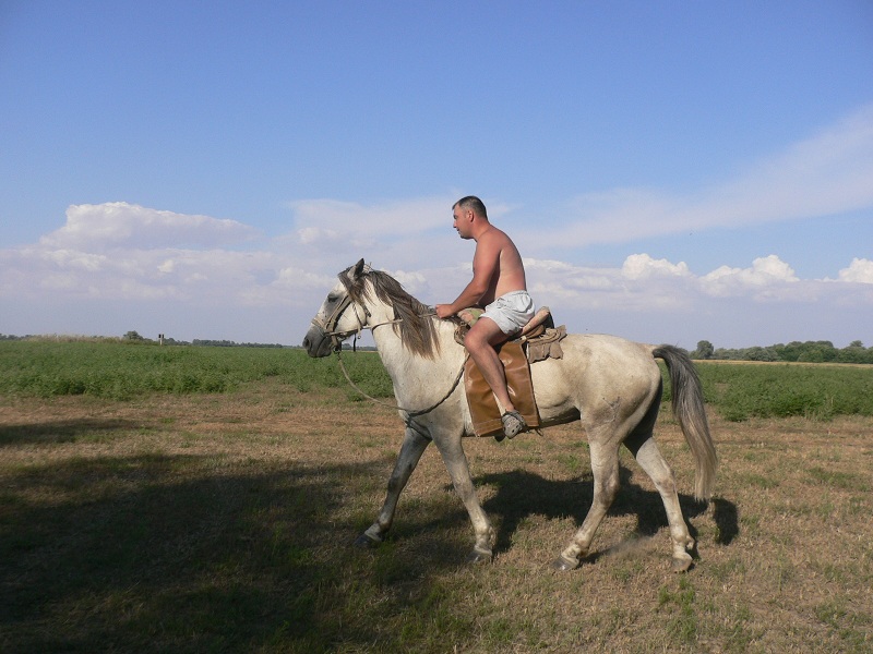 Август, Ахтуба рыбалка в Селитренном, Митинка, Харабалык и Банный, рыболовная база "Ахтуба-клуб"