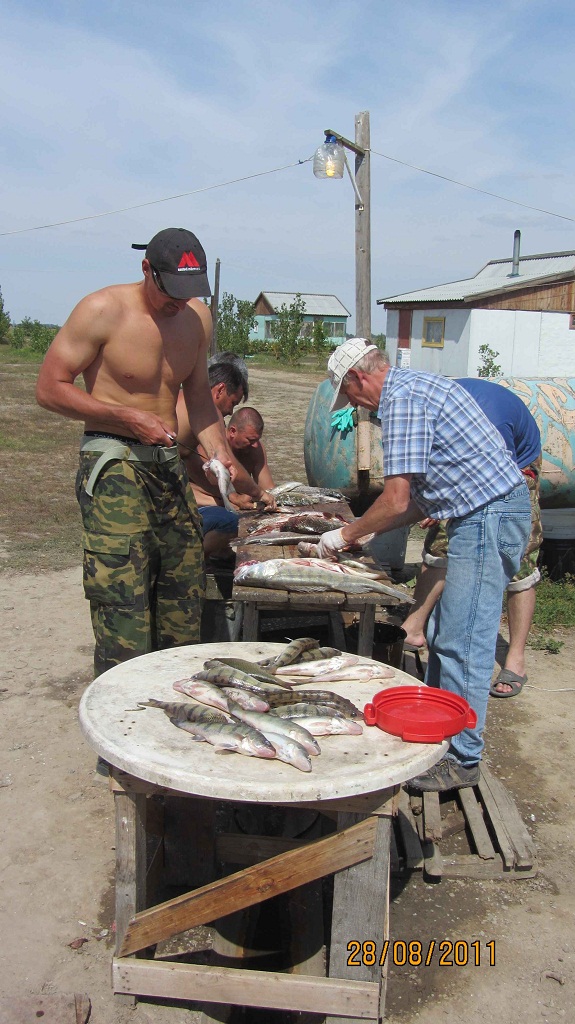 Август, Ахтуба рыбалка в Селитренном, Митинка, Харабалык и Банный, рыболовная база "Ахтуба-клуб"