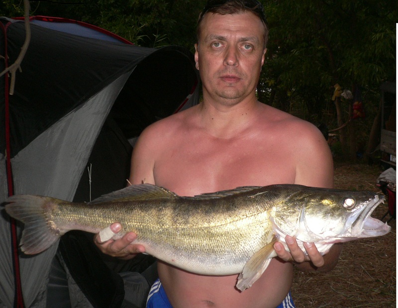 Август, Ахтуба рыбалка в Селитренном, Митинка, Харабалык и Банный, рыболовная база "Ахтуба-клуб"