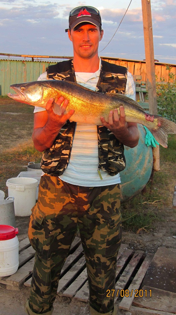 Август, Ахтуба рыбалка в Селитренном, Митинка, Харабалык и Банный, рыболовная база "Ахтуба-клуб"