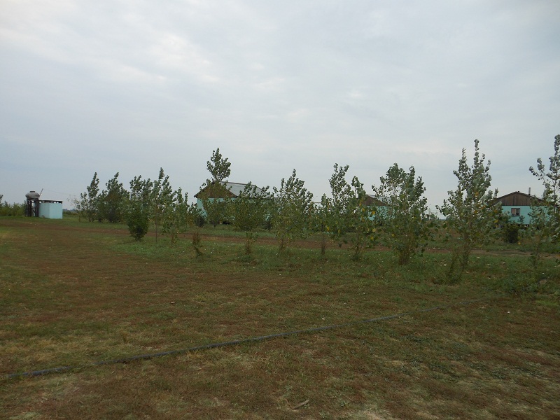 Август, рыбалка и отдых в астраханской области, рыболовная база "Ахтуба-клуб".