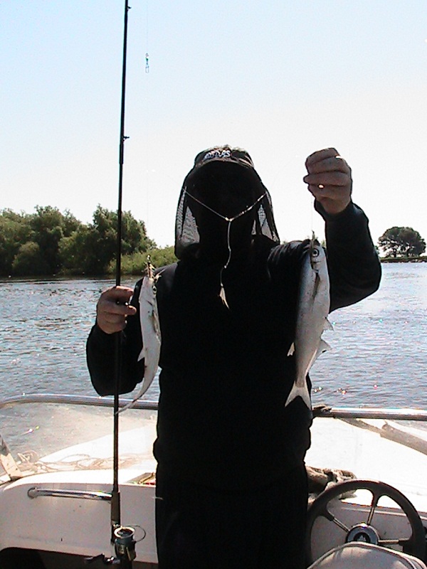 Июнь - Мошка!!! Вытеки - Ахтуба, летняя рыбалка в Селитренном, Митинка, Харабалык и Банный, рыболовная база "Ахтуба-клуб"