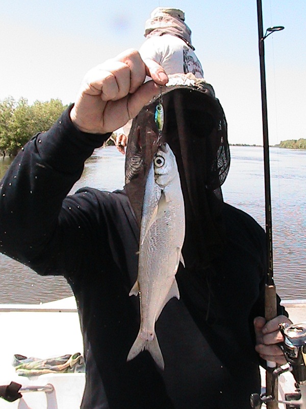 Июнь - Мошка!!! Вытеки - Ахтуба, летняя рыбалка в Селитренном, Митинка, Харабалык и Банный, рыболовная база "Ахтуба-клуб"