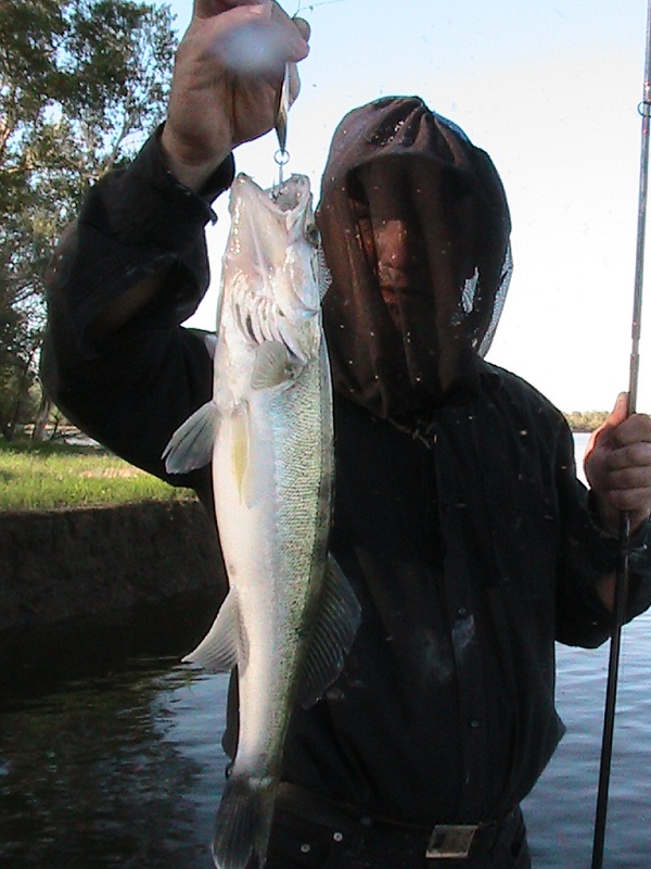 Июнь - Мошка!!! Вытеки - Ахтуба, летняя рыбалка в Селитренном, Митинка, Харабалык и Банный, рыболовная база "Ахтуба-клуб"