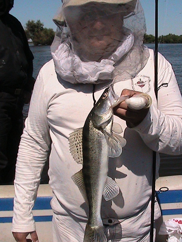 Июнь - Мошка!!! Вытеки - Ахтуба, летняя рыбалка в Селитренном, Митинка, Харабалык и Банный, рыболовная база "Ахтуба-клуб"