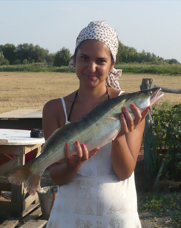 Август, рыбалка и отдых в астраханской области, рыболовная база "Ахтуба-клуб".