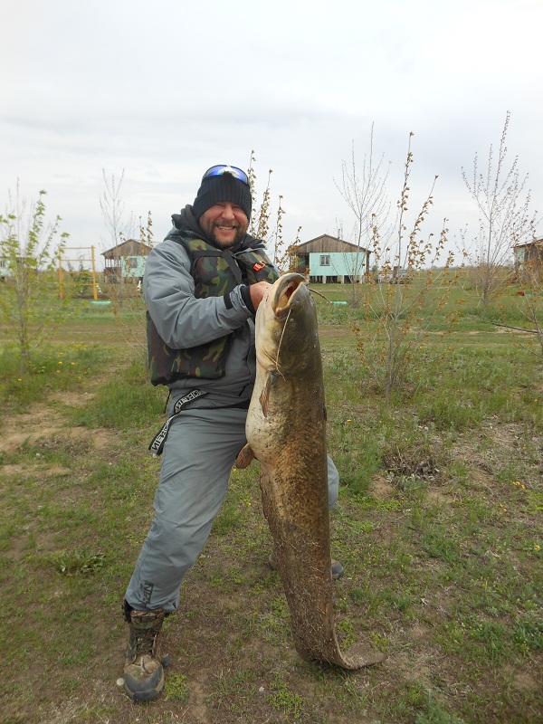 22 апреля, Ахтуба,Харабалык, рыбалка на базе "Ахтуба-клуб". Сом на 18 кг. Поймал Сергей Светюк и его команда.