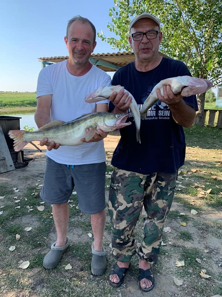 Лето 2020, Ахтуба рыбалка  в Селитренном, на Митинке, на Харабалыке и Банном, рыболовная база "Ахтуба-клуб"