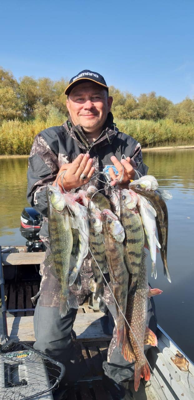 Осень 2020, Ахтуба рыбалка  в Селитренном, на Митинке, на Харабалыке и Банном, рыболовная база "Ахтуба-клуб"