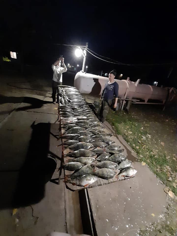 Осень 2020, Ахтуба рыбалка  в Селитренном, на Митинке, на Харабалыке и Банном, рыболовная база "Ахтуба-клуб"