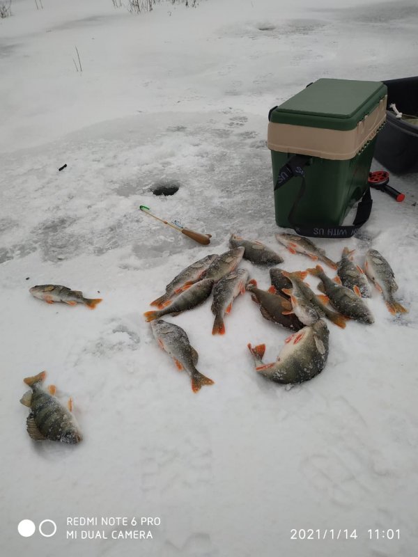 Зима 2021, Ахтуба рыбалка  в Селитренном, на Митинке, на Харабалыке и Банном, рыболовная база "Ахтуба-клуб"