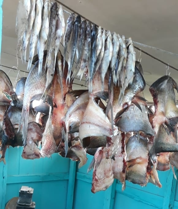 Весна 2021, Ахтуба рыбалка  в Селитренном, на Митинке, на Харабалыке и Банном, рыболовная база "Ахтуба-клуб"