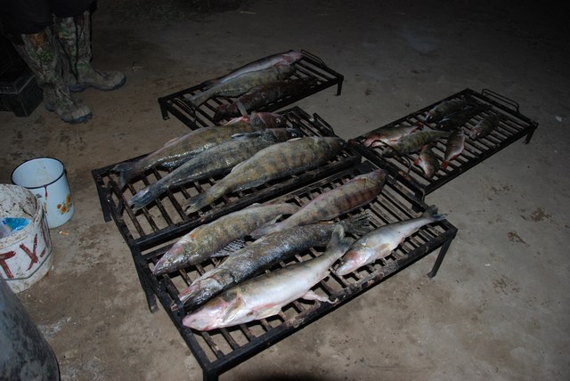 рыбалка в астрахани на нижней волге и ахтубе, рыболовная база "Ахтуба-клуб"