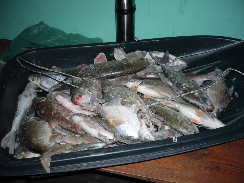 Февраль, Ахтуба рыбалка в Селитренном на Митинке, Харабалыке и Банном рыболовная база "Ахтуба-клуб"