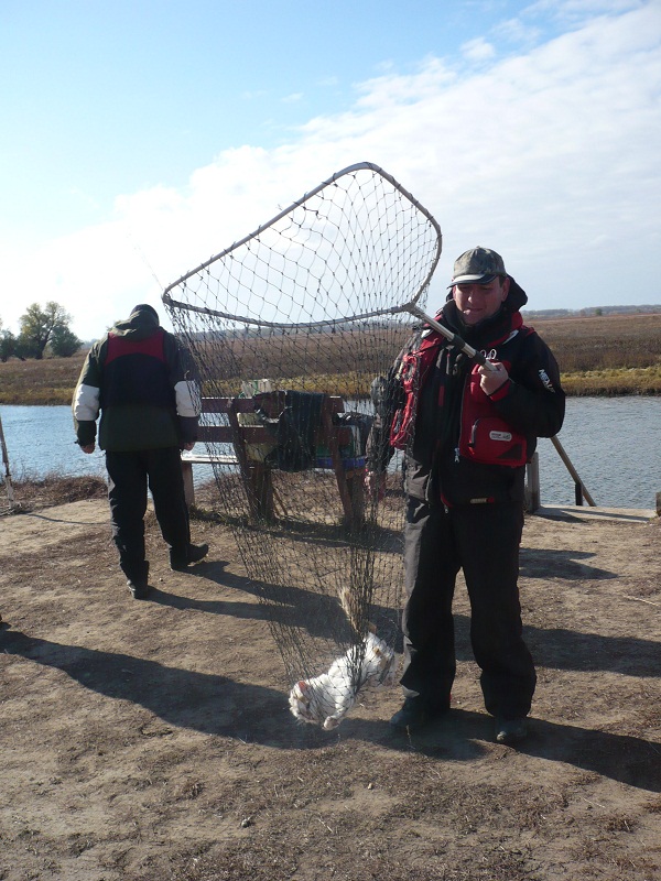 Октябрь, Ахтуба рыбалка в Селитренном, Митинка, Харабалык и Банный, рыболовная база "Ахтуба-клуб"