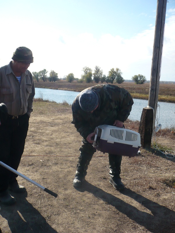 Октябрь, Ахтуба рыбалка в Селитренном, Митинка, Харабалык и Банный, рыболовная база "Ахтуба-клуб"