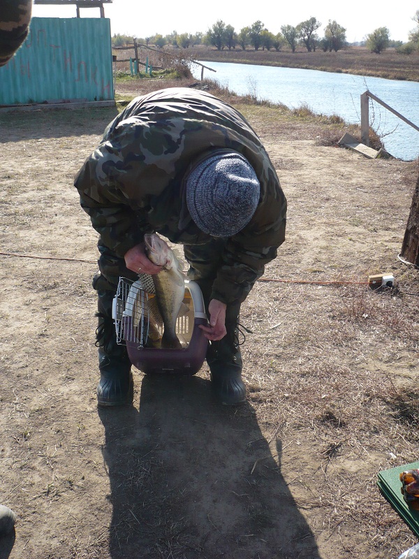 Октябрь, Ахтуба рыбалка в Селитренном, Митинка, Харабалык и Банный, рыболовная база "Ахтуба-клуб"