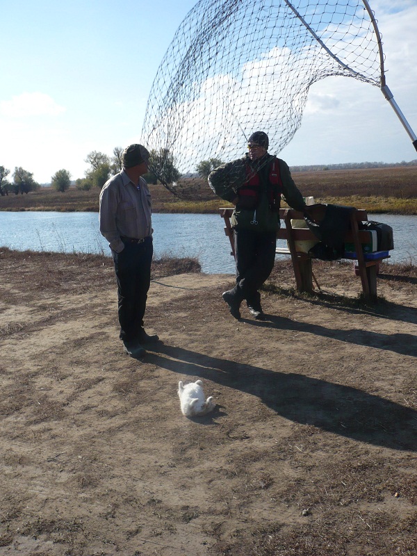 Октябрь, Ахтуба рыбалка в Селитренном, Митинка, Харабалык и Банный, рыболовная база "Ахтуба-клуб"