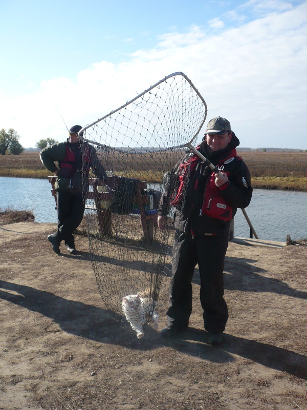 Октябрь, Ахтуба рыбалка в Селитренном, Митинка, Харабалык и Банный, рыболовная база "Ахтуба-клуб"